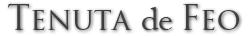 Tenuta de Feo